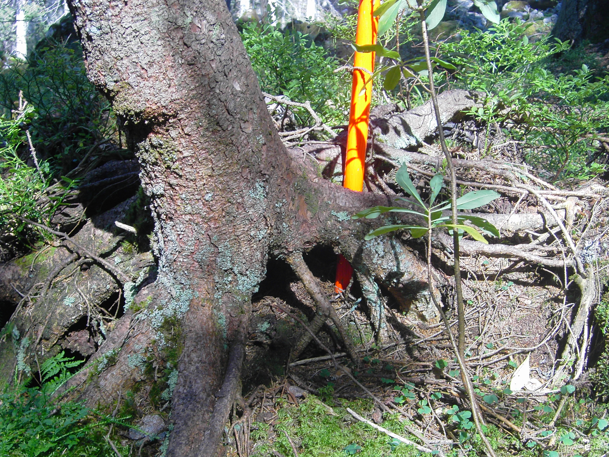 Mittwoch, 11. Februar 2026, 19 Uhr