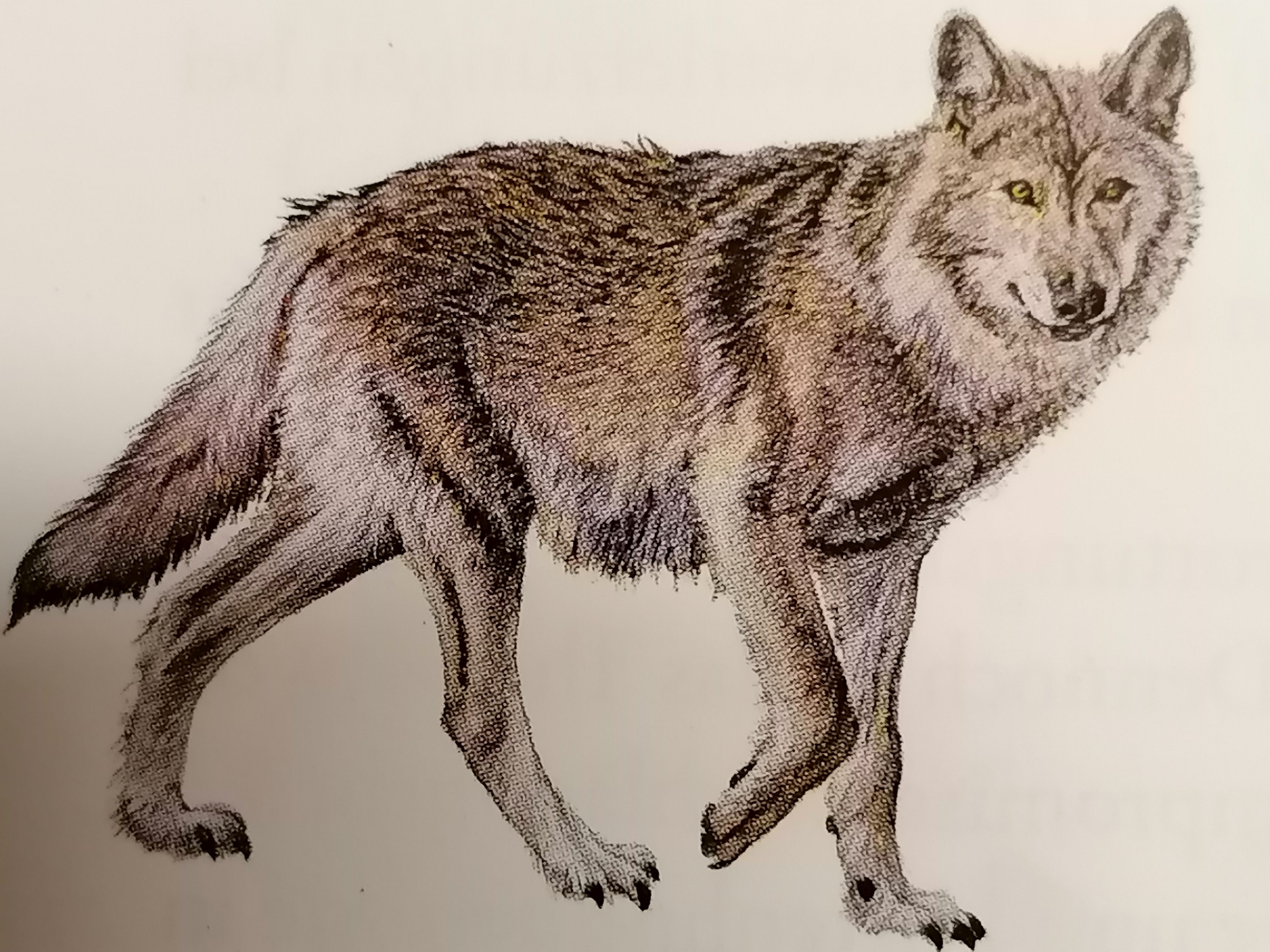 Mittwoch, 11. März 2026, 19 Uhr