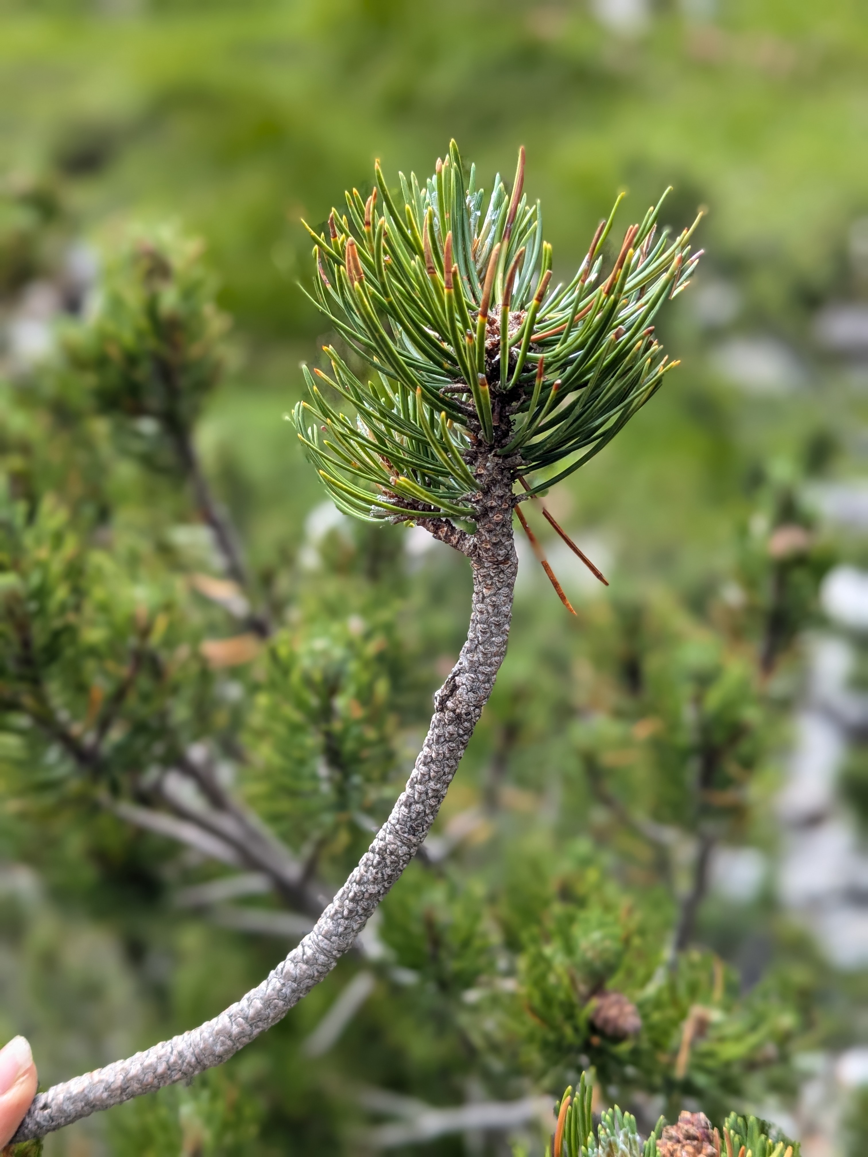 Mittwoch, 4. März 2026, 19 Uhr